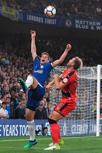 支素质高 支素质高