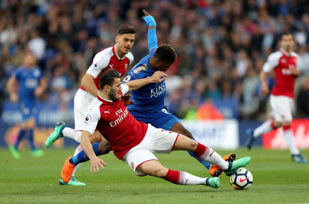 格兼具观赏 格兼具观赏