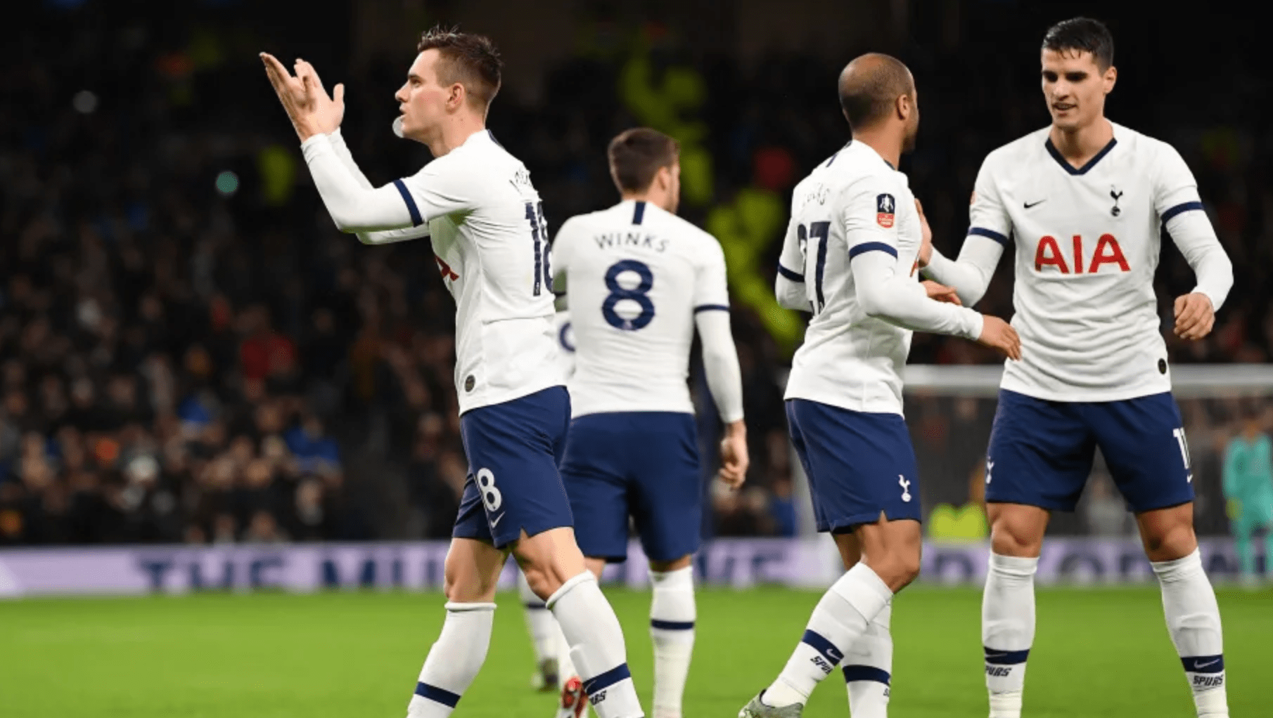 出色的身体 出色的身体